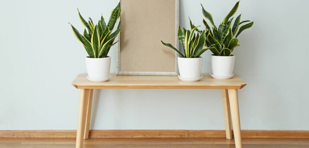 Çayırova Akse Boyacı - Serkan Usta - 0 532 566 76 87